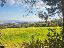 Terreno 25220 mq