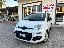 FIAT Panda 1.3 MJT 80 CV S&S Easy VAN 4 POSTI