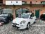 FIAT Punto 1.3 MJT II 16V 5p. Lounge