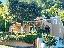 Villa indipendente con giardino