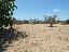 Terreno 3416 mq, zona Racale