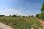 Terreno 8000 mq, zona Caselle