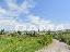 Bertinoro-casolare in posizione panoramica con terreno di 11000 mq