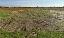 Terreno 9840 mq, zona Ronche