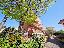Romiti _ villetta angolare con giardino privato