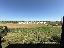 Terreno 10000 mq, zona Macchie