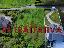 Terreno 960 mq, zona Castiglione Torinese