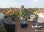 Appartamento 65 mq, 2 camere, zona Capalbio Scalo