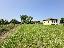 Terreno 1900 mq, zona Vische