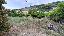 Terreno 2500 mq, zona Vallecrosia Alta