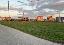 Terreno 6479 mq, zona Suzzara