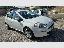 FIAT Punto 1.3 MJT II 75 CV 5p. Street