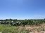Terreno 108000 mq, zona Sommacampagna