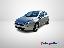FIAT Punto 1.2 8V 5p. Lounge