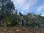 Rustico 80 mq, zona Ceglie Messapica