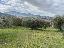 Terreno 1800 mq, zona Sant'Arcangelo