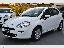 FIAT Punto 1.3 MJT II 16V 5p. Lounge