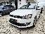 VOLKSWAGEN Polo 1.2 TDI 5p. Comfortline