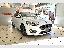 FORD Focus 1.5 EcoBlue 120CV ST Line