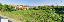 Terreno 1500 mq, zona Romano Canavese