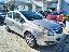 OPEL Corsa 1.3 CDTI 75 CV ecoFLEX 5p. Enjoy