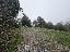 Bifamiliare 214 mq, 3 camere, zona Galzignano Terme