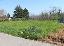 Terreno 750 mq, zona San Mauro in Valle