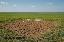 Terreno 3700 mq, zona Concordia Sagittaria
