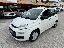 FIAT Panda 1.3 MJT S&S Pop