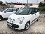 FIAT 500L 1.3 MJT 85 CV Lounge