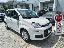 FIAT Panda 1.2 EasyPower Easy