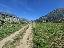 Terreno 3740 mq, zona Arco