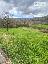 Terreno 1700 mq