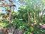 Maisonette con grazioso giardino