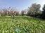 Terreno 2230 mq