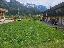 Terreno 1600 mq, zona Presson