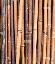 Vendesi canne comuni e Bambu - Chivasso (TO)