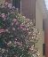 Appartamento 92 mq, 2 camere, zona Abano Terme