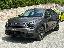 CITROEN C4 Hybrid 136 e-DCS6 Plus