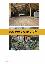 Villa 125 mq, soggiorno, 3 camere
