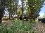 Terreno 1330 mq, zona Bastia