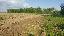 Terreno 75000 mq, zona Zerman