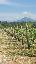 Terreno 150000 mq