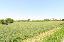 Terreno 3800 mq, zona Casona