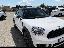 MINI Mini Cooper D Countryman ALL4 Automatica