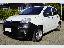 FIAT Panda 1.0 S&S Hybrid Van 2 posti