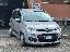 FIAT Panda 1.2 EasyPower Easy