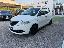 LANCIA Ypsilon 1.2 69 CV 5p. GPL Ecochic Gold