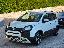 FIAT Panda 1.0 FireFly S&S Hybrid Pandina