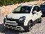 FIAT Panda 1.0 FireFly S&S Hybrid Pandina
